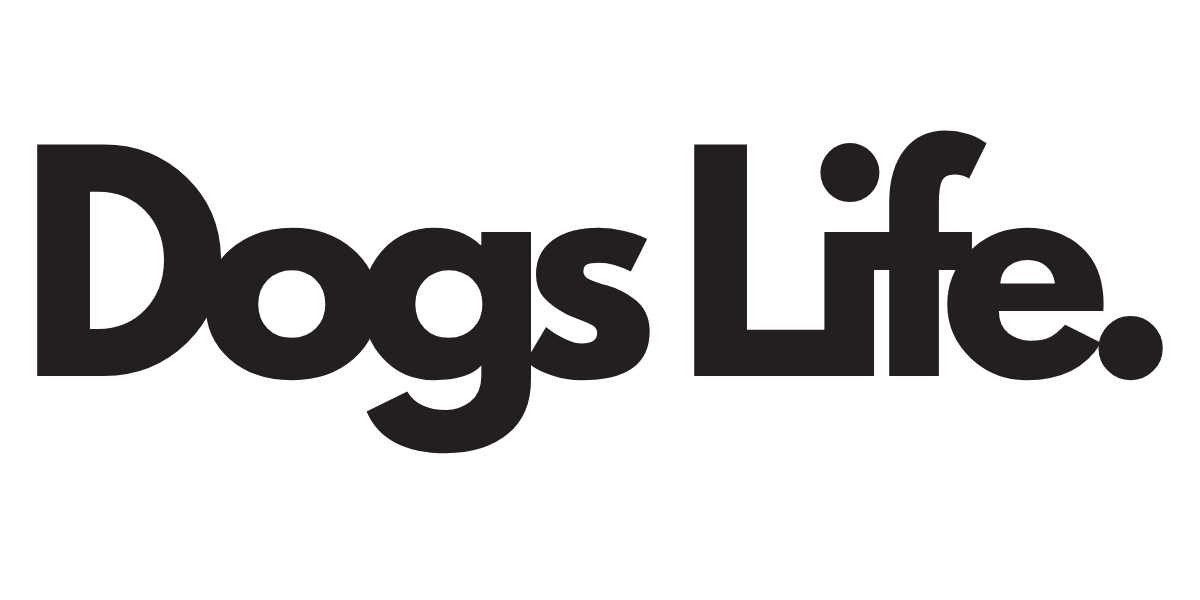 staging.dogslifetraining.com.au.syd1.mystaging.site